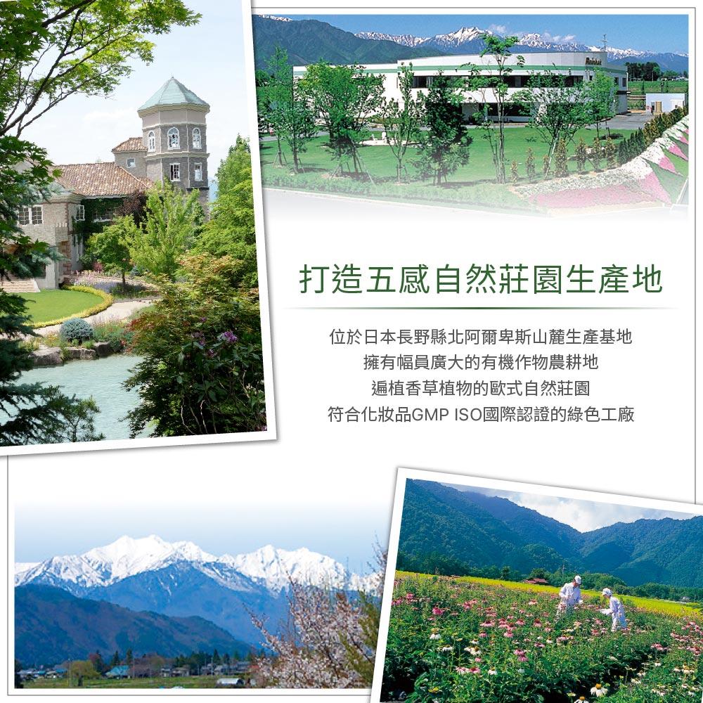 JOLLYARD(潔麗雅) 自然微風  紫錐花豐盈洗髮精 SR 260ml (細軟髮適用)-細節圖9