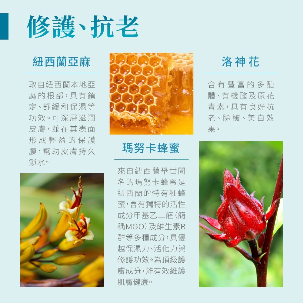 JOLLYARD(潔麗雅) 安緹芃 瑪瑪庫高保濕水凝 60ml-細節圖4