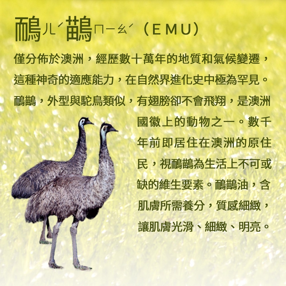 【Jollyard 潔麗雅】鴯鶓極潤潤膚乳液250ml  x 三瓶-細節圖2