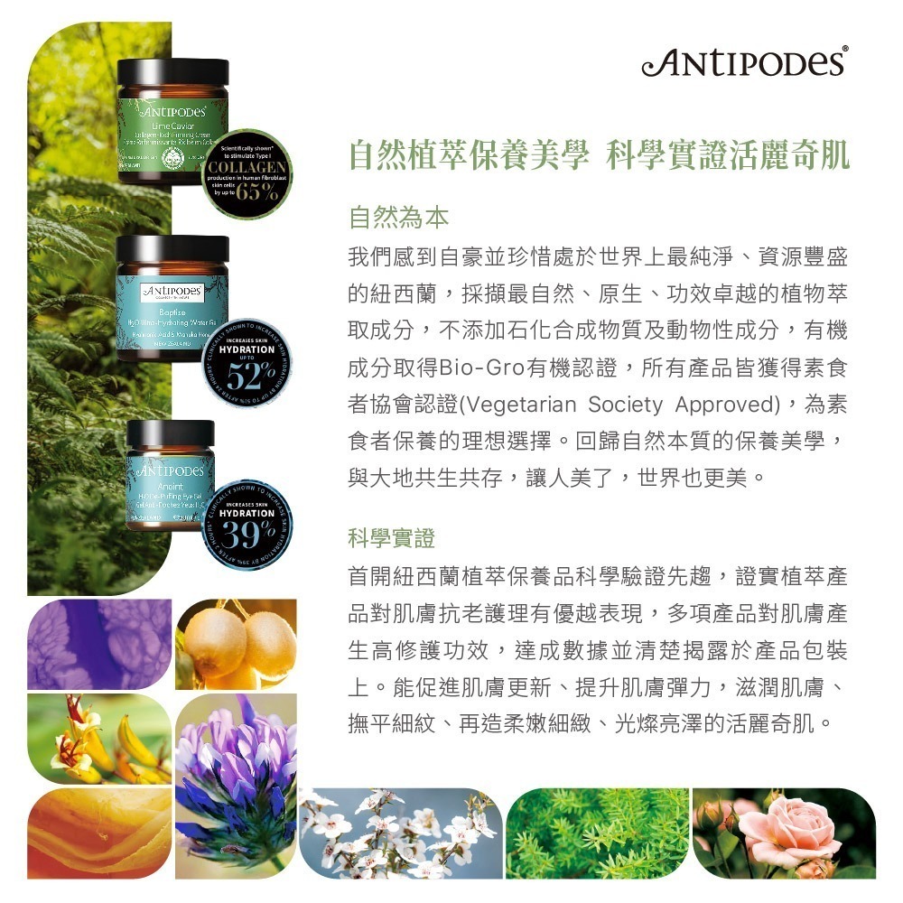 【Jollyard 潔麗雅】安緹芃 玫瑰果美麗仙境活膚菁萃 30ml-細節圖5