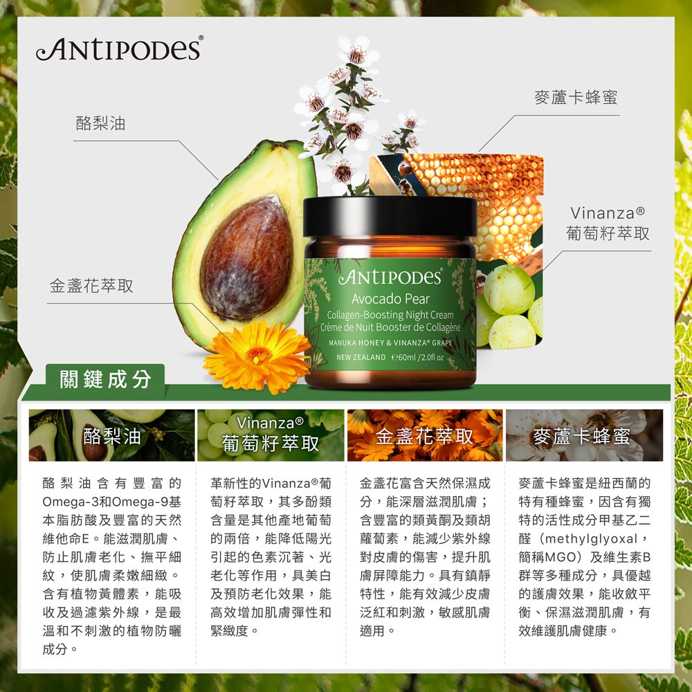 【Jollyard 潔麗雅】安緹芃 酪梨時空逆轉抗皺晩霜 60ml-細節圖3