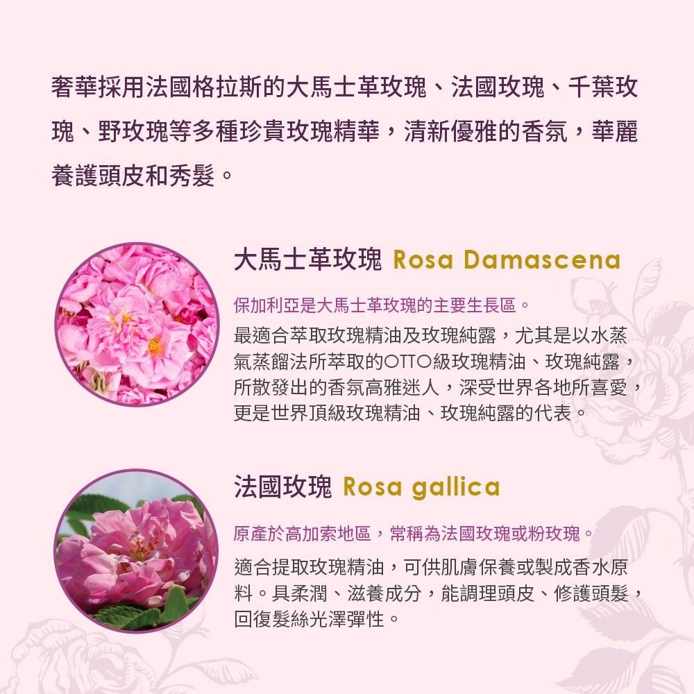 【Jollyard 潔麗雅】古典玫瑰魅麗洗髮露 300ml-細節圖5