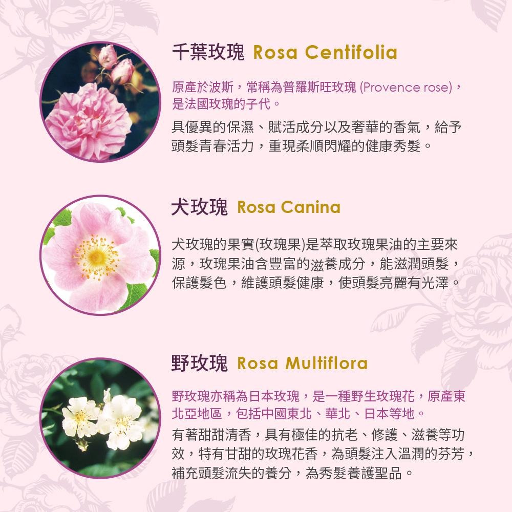 【Jollyard 潔麗雅】古典玫瑰魅麗洗髮露 300ml-細節圖6