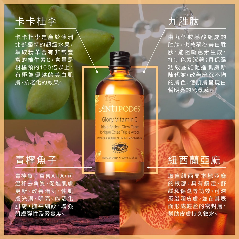 【Jollyard 潔麗雅】安緹芃 卡卡杜美妍C煥白化妝水100ml-細節圖3