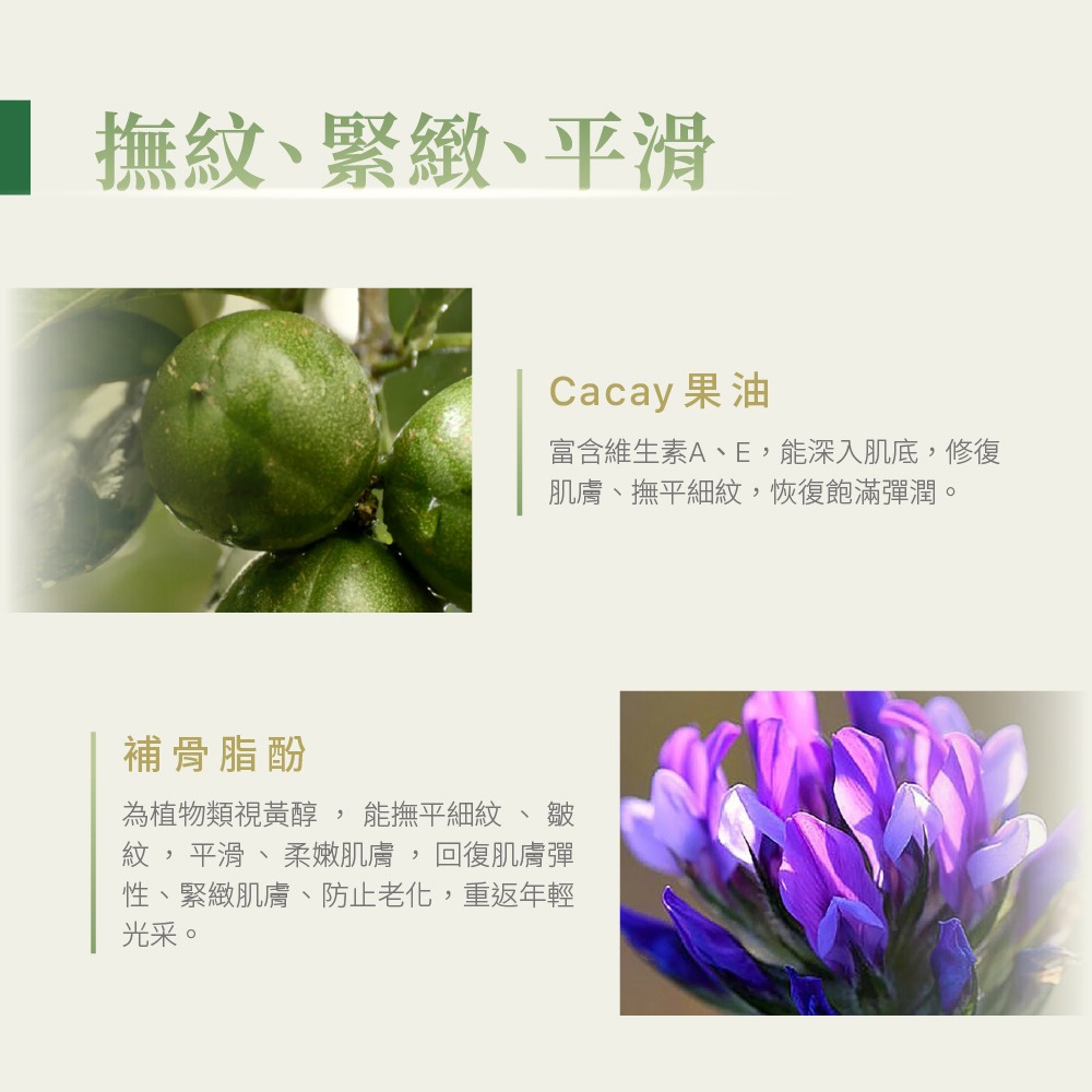 【Jollyard 潔麗雅】 安緹芃 植萃A醇撫紋精華液30ml-細節圖4