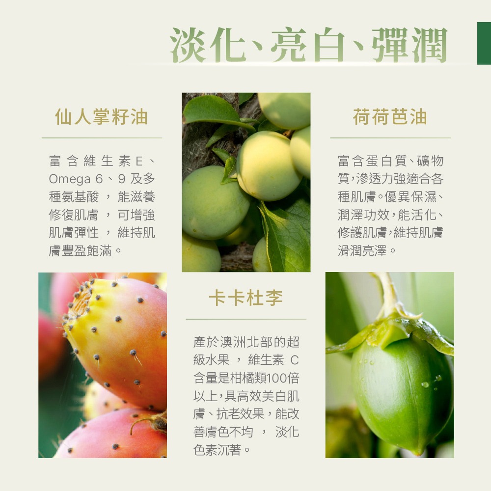 【Jollyard 潔麗雅】 安緹芃 植萃A醇撫紋精華液30ml-細節圖5