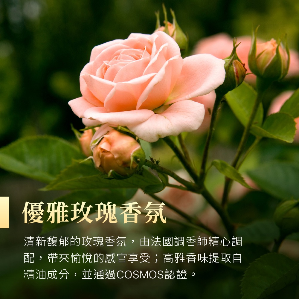 【Jollyard 潔麗雅】 安緹芃 植萃A醇撫紋精華液30ml-細節圖7