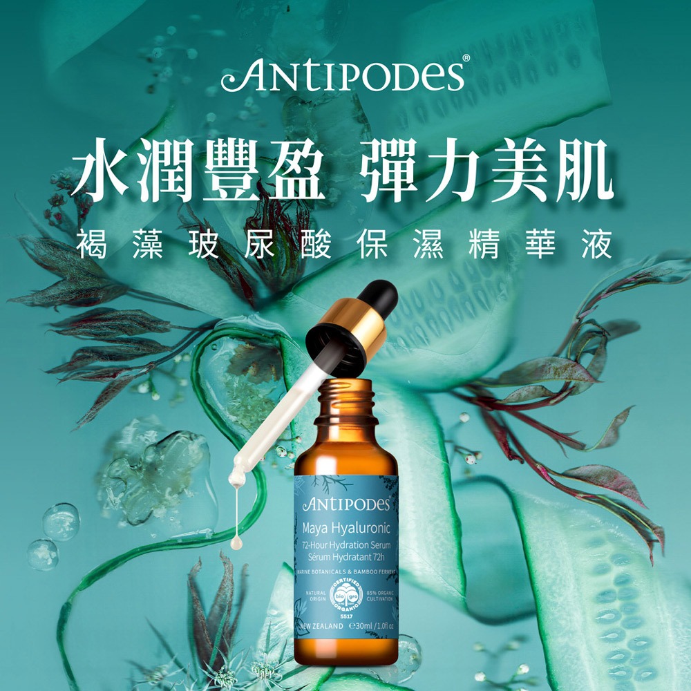 【Jollyard 潔麗雅】安緹芃 褐藻玻尿酸保濕精華液 30ml-細節圖2