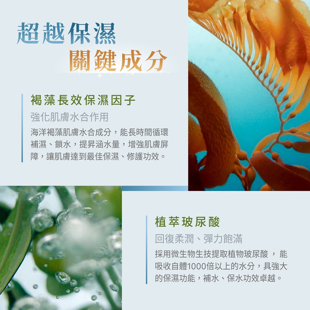 【Jollyard 潔麗雅】安緹芃 褐藻玻尿酸保濕精華液 30ml-細節圖4