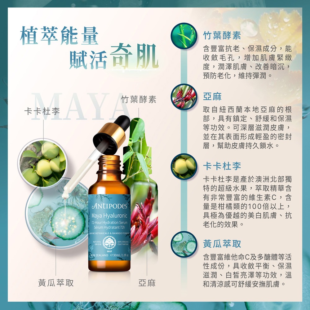 【Jollyard 潔麗雅】安緹芃 褐藻玻尿酸保濕精華液 30ml-細節圖5
