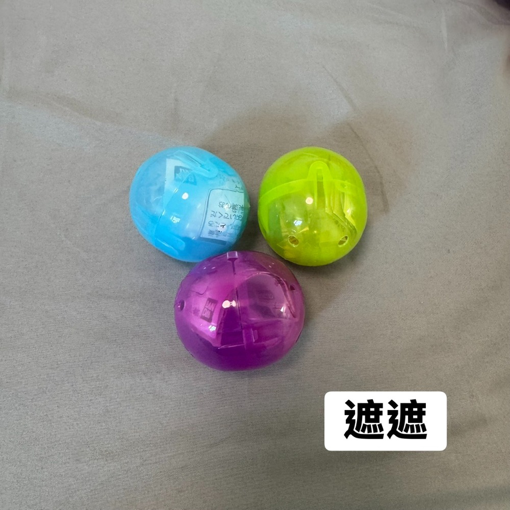 遮遮