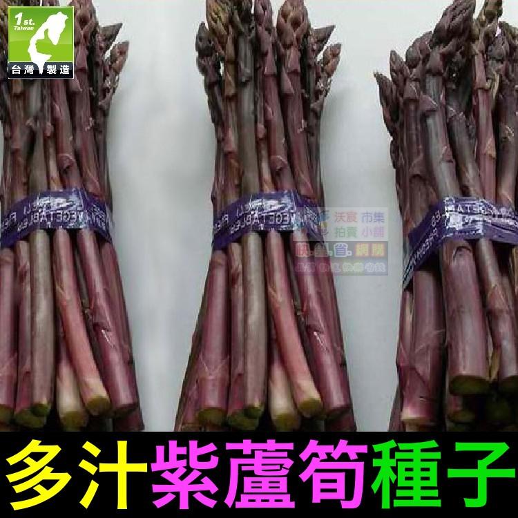 🍆㊣【我想發芽】紫蘆筍種子 肥大 多汁 微甜 柔嫩可口 易栽好活 陽台盆栽 (約5粒/包) 25元-細節圖2