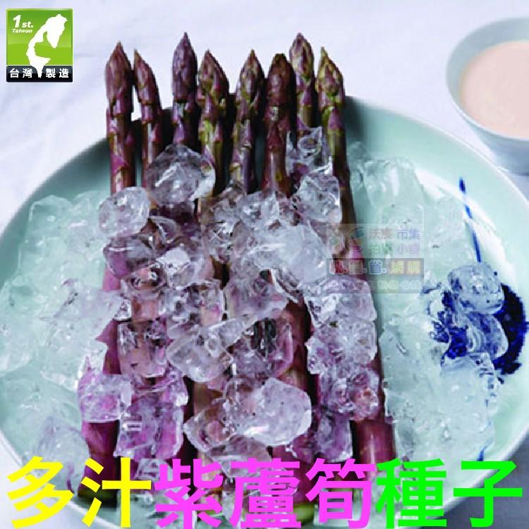 🍆㊣【我想發芽】紫蘆筍種子 肥大 多汁 微甜 柔嫩可口 易栽好活 陽台盆栽 (約5粒/包) 25元-細節圖3