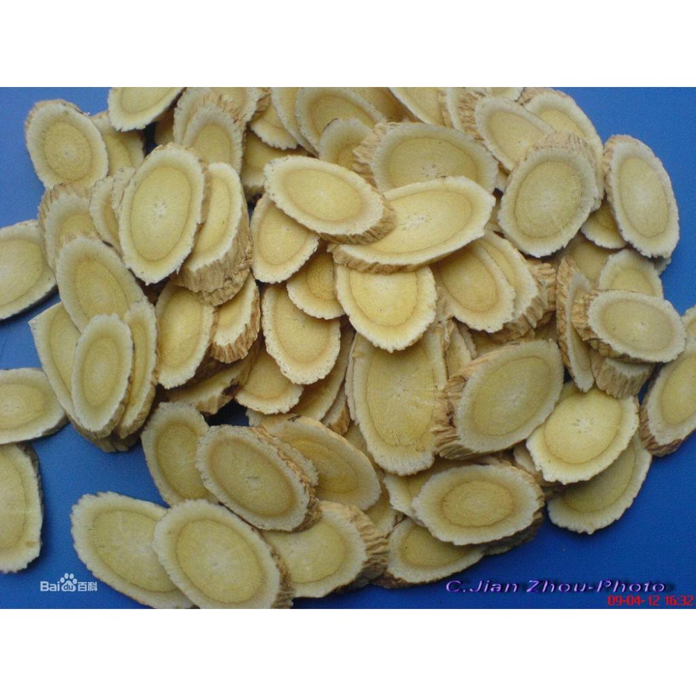 🌱㊣黃耆種子 蒙古黃芪 (多年生) 滋補強身 珍貴中藥植物 生津止渴 調整體質 精神旺盛 養顏美容 幫助入睡 可盆栽-細節圖3