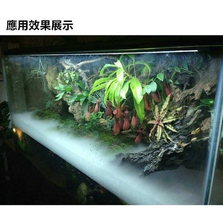 ♨️【水博士】第三代造霧器(七彩,紅燈,無燈) 霧化器 LED 霧化 造霧機 超音波空氣加濕器 山水造景 缺水保護-細節圖8