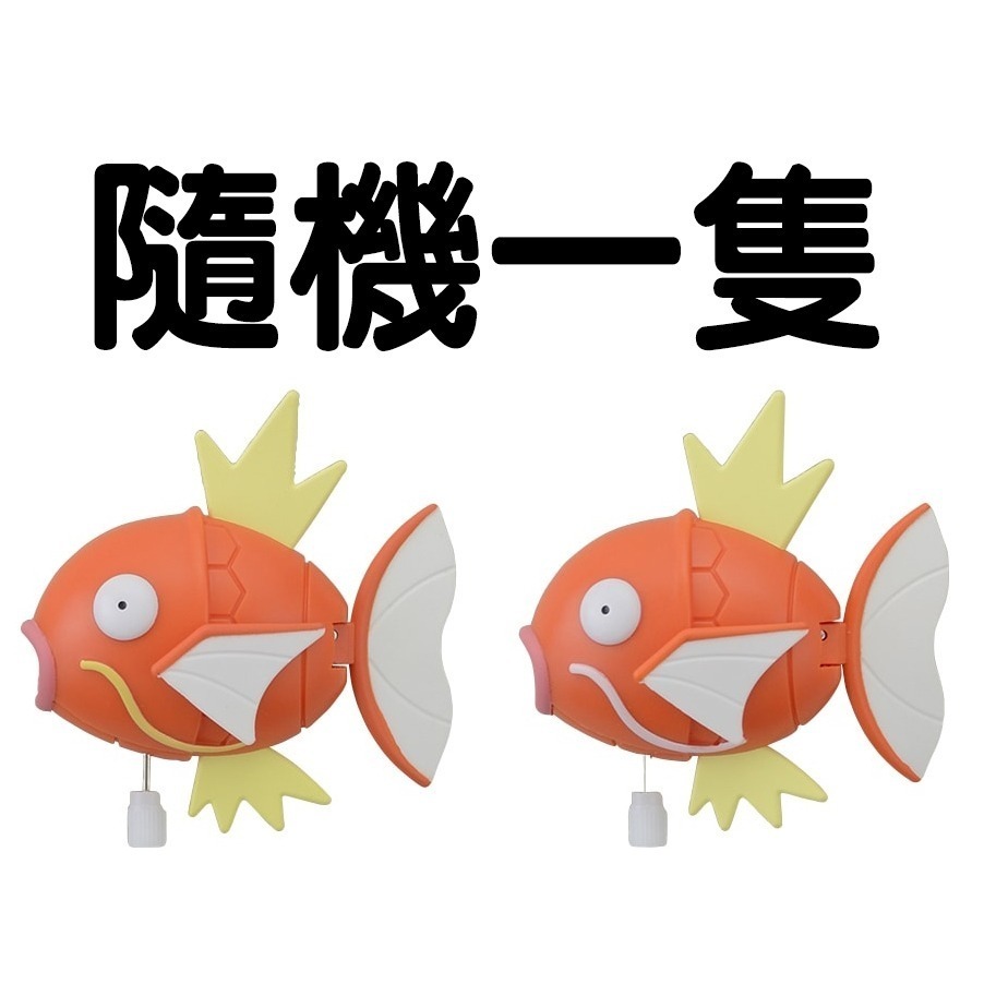 現貨《玩具魔王》發條 無限鯉魚王 寶可夢中心限定 扭蛋 轉蛋 全套3款 稀有 隱藏 異色 色違 金色 鯉魚王-規格圖4