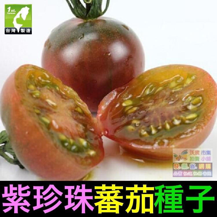 🍇㊣【我想發芽】紫珍珠蕃茄種子 番茄 紫聖女果 盆栽 可盆栽 易栽好活 約25粒/包-細節圖6