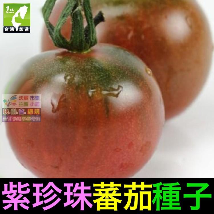 🍇㊣【我想發芽】紫珍珠蕃茄種子 番茄 紫聖女果 盆栽 可盆栽 易栽好活 約25粒/包-細節圖7