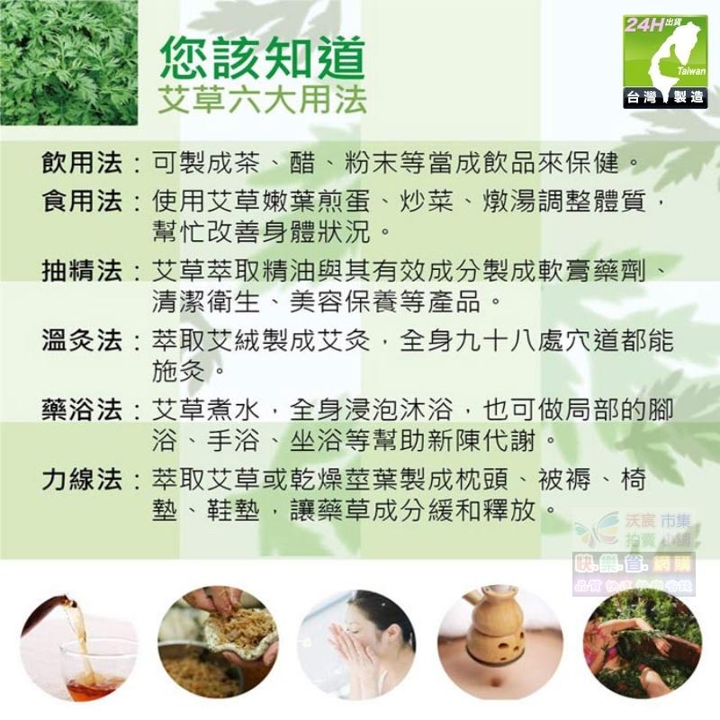 🎋【我會發芽】五月艾 香艾草 九尖蘄艾 種苗 扦插枝條 防蚊蟲 葉片可泡茶 艾蒿艾葉艾絨 艾粿食用 易栽好活陽台盆栽-細節圖9