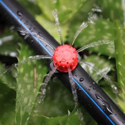 ㊣【水博士】可調式4/7銅噴頭 小紅帽八孔滴頭 園藝噴頭 屋頂降溫 4/7mm倒鉤 霧化草坪溫室網室灌溉微噴頭 高品質-細節圖8