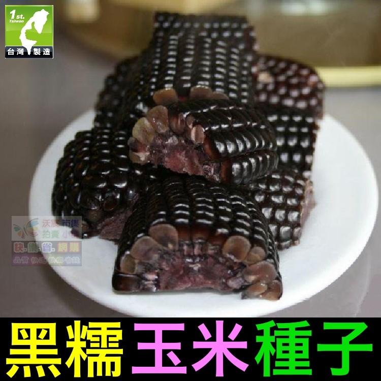 ㊣【我會發芽】黑糯玉米種子 苞穀 富含花青素 水果玉米 易栽好活 陽台盆栽(約12~15粒/包)25元-細節圖3