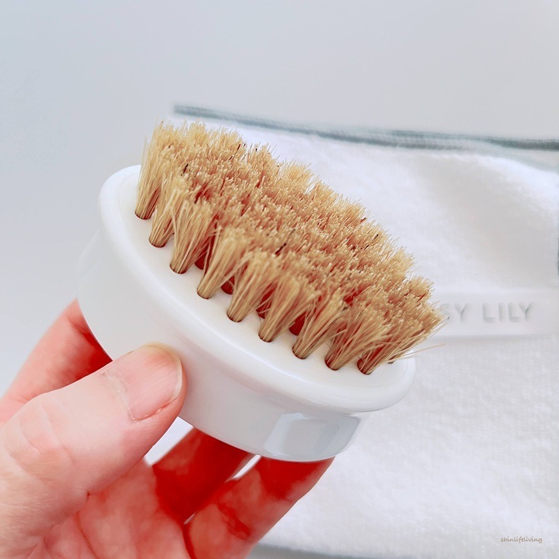 日本製 ROSYLILY鞋子皮革清潔慕斯刷具組 洗鞋泡泡 皮革清潔慕斯 免沖水-細節圖3