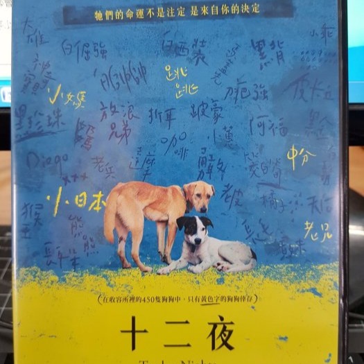 挖寶二手片-Y06-048-正版DVD-華語【十二夜】-九把刀監製*隋棠聯合出品(直購價)