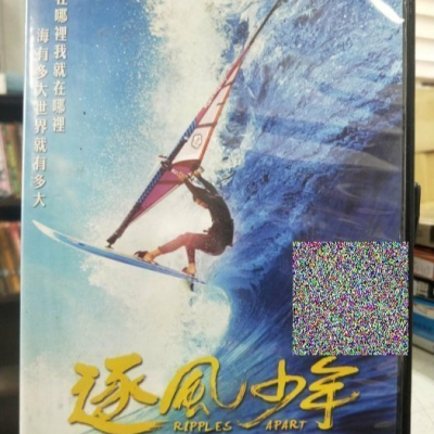 挖寶二手片-Y09-148-正版DVD-華語【逐風少年】-台灣唯一風浪板奧運選手張浩(直購價)