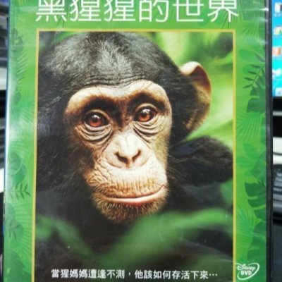 挖寶二手片-Y10-115-正版DVD-電影【黑猩猩的世界】-迪士尼(直購價)
