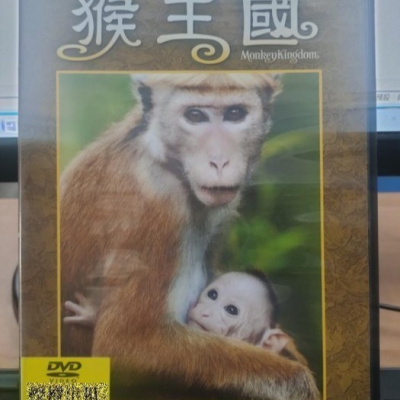 挖寶二手片-Y11-277-正版DVD-其他【猴王國】-迪士尼*紀錄片(直購價)