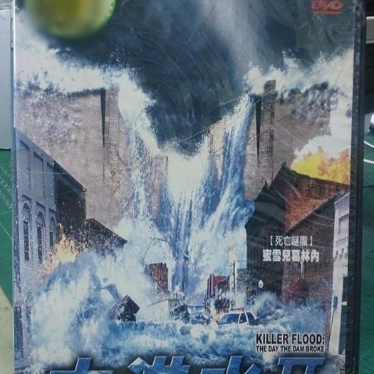 挖寶二手片-D10-093-正版DVD-電影【大洪水2】-蜜雪兒葛內林(直購價)