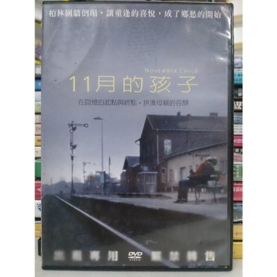 挖寶二手片-O02-026-正版DVD-電影【11月的孩子】-在回憶的起點與終點 拼湊母親的容顏(直購價)