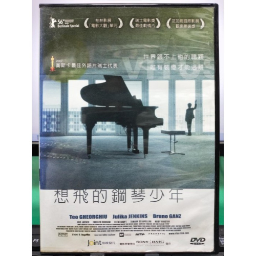 挖寶二手片-Y29-602-正版DVD-電影【想飛的鋼琴少年】-奧斯卡最佳外語片瑞士代表(直購價)