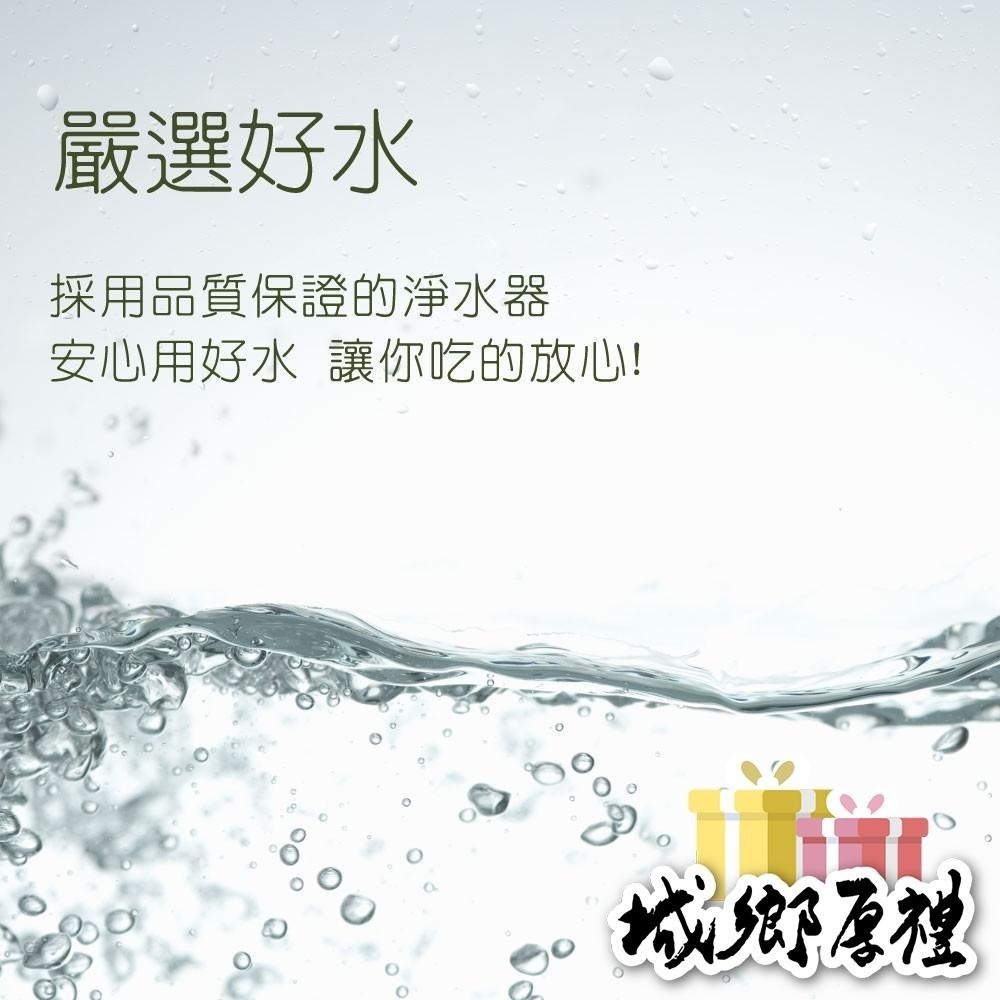 【甜園】情人果冰 (原味/梅子) 春夏限定 酸v酸v 古早味冰品 季節限定 手工製作 350g-細節圖6