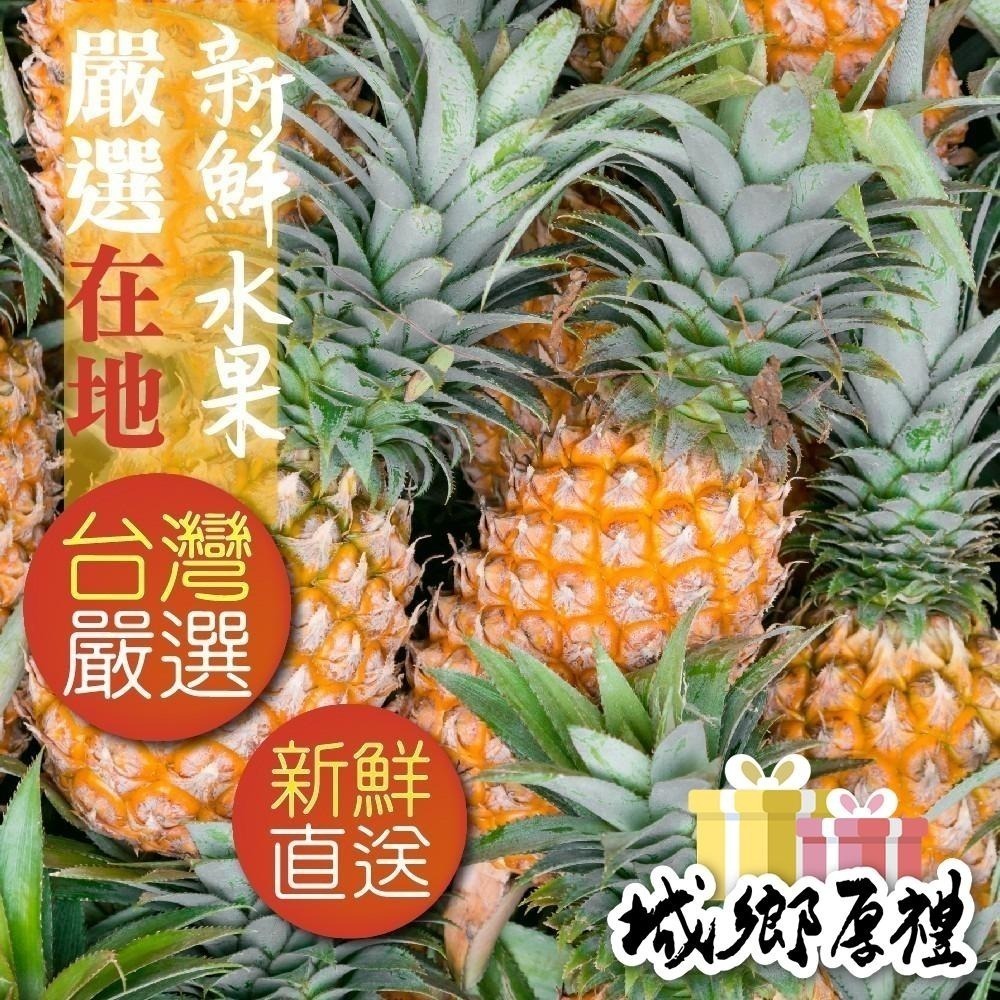 無糖金鑽鳳梨花 / 無糖金鑽鳳梨角 隨身包 無糖 不咬口 天然果乾 鳳梨果乾 鳳梨 水果乾 果乾 無糖果乾【甜園】-細節圖4