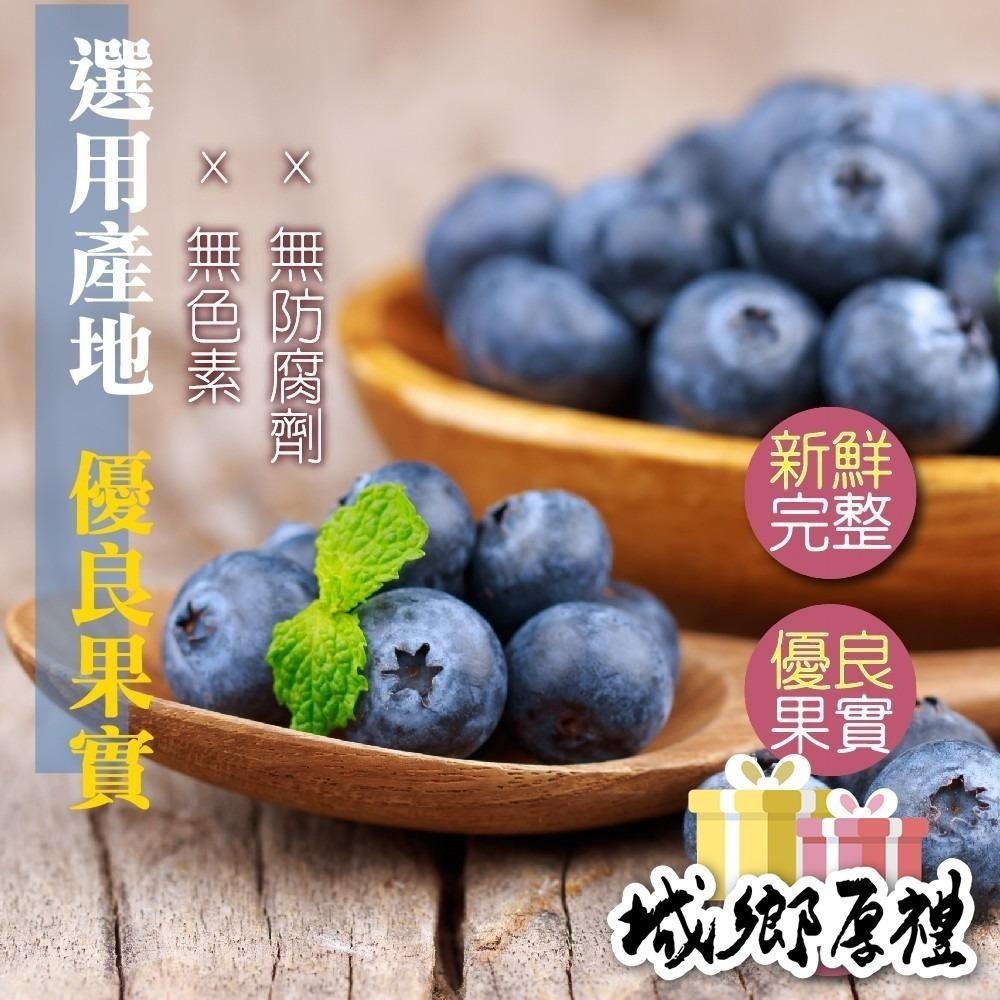 野生藍莓粒 無糖藍莓 60g隨身包 藍莓果乾 藍莓 水果乾 果乾 無糖果乾 豐富的花青素【甜園】-細節圖3