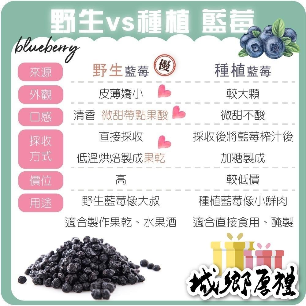 野生藍莓粒 無糖藍莓 60g隨身包 藍莓果乾 藍莓 水果乾 果乾 無糖果乾 豐富的花青素【甜園】-細節圖5