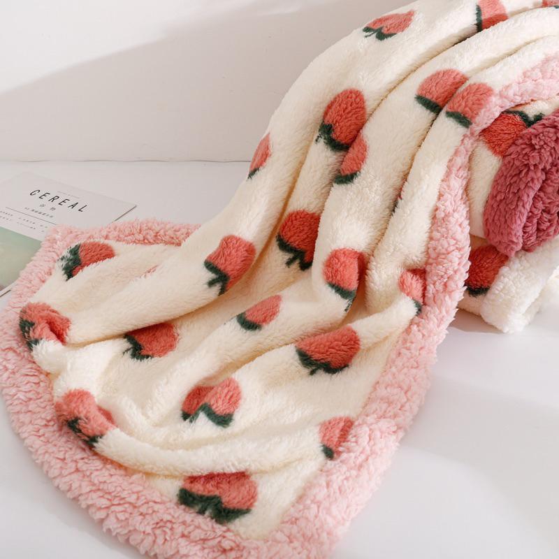 2024年秋冬新款雙層保暖寵物毛毯法蘭絨毛毛絨毯子加絨加厚狗狗被子披風貓咪狗窩墊-細節圖4