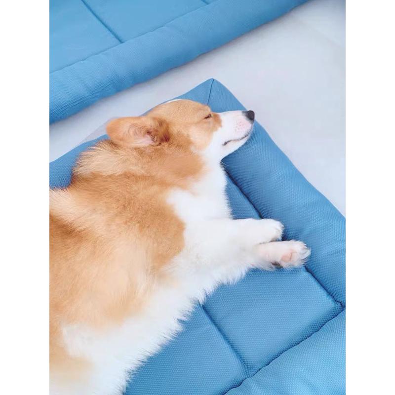 2024夏季新款防水寵物墊貓窩狗窩小中大型犬夏季狗床涼席寵物窩睡床睡墊寵物睡窩貓懶骨頭-細節圖2