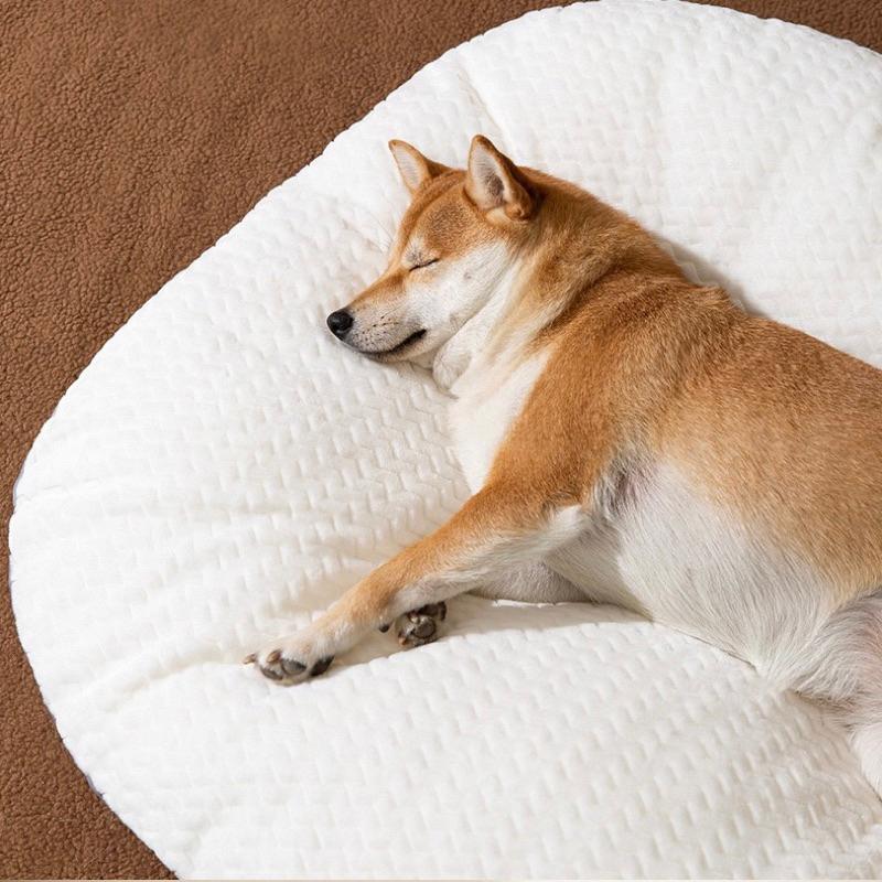 2024年夏季新款狗狗墊狗窩睡墊四季通用可拆洗貓地墊床墊中型小型枕頭寵物用品-細節圖3