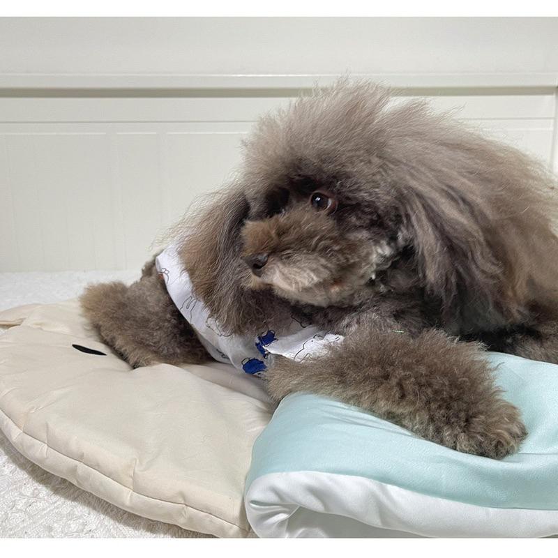 2024年夏季新款韓系涼感睡袋外出寵物推車墊推車墊窩天絲冰絲冰爽墊子空調被韓系外出寵物推車墊保暖柔軟舒適寵物窩貓窩-細節圖4