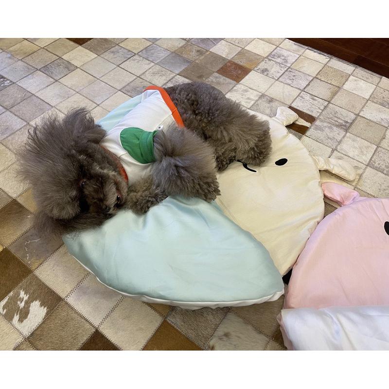 2024年夏季新款韓系涼感睡袋外出寵物推車墊推車墊窩天絲冰絲冰爽墊子空調被韓系外出寵物推車墊保暖柔軟舒適寵物窩貓窩-細節圖5