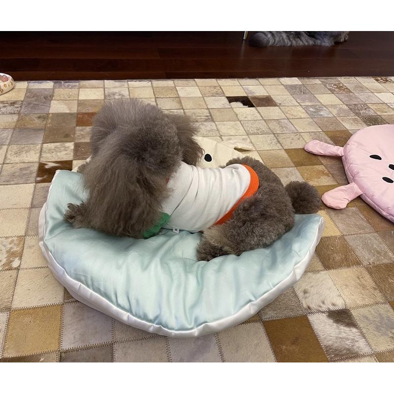 2024年夏季新款韓系涼感睡袋外出寵物推車墊推車墊窩天絲冰絲冰爽墊子空調被韓系外出寵物推車墊保暖柔軟舒適寵物窩貓窩-細節圖8