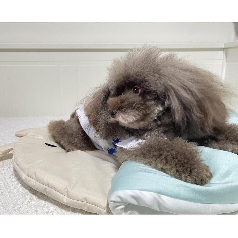 2024年夏季新款韓系涼感睡袋外出寵物推車墊推車墊窩天絲冰絲冰爽墊子空調被韓系外出寵物推車墊保暖柔軟舒適寵物窩貓窩-細節圖9