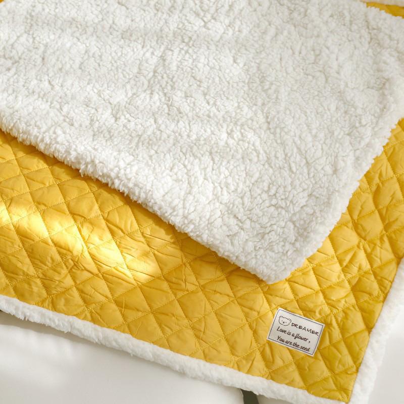 2024年秋冬新款四季通用雙面寵物墊子狗狗地墊夏天降溫涼墊秋冬保暖毛毯貓咪窩墊-細節圖7