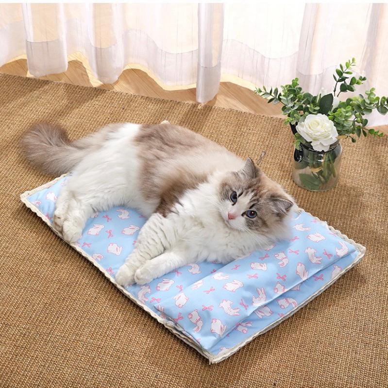 2024年夏季新款夏季藤編涼蓆枕頭墊寵物涼蓆墊貓咪涼墊防潑水不黏毛貓墊子降溫草蓆小狗墊貓窩墊-細節圖8