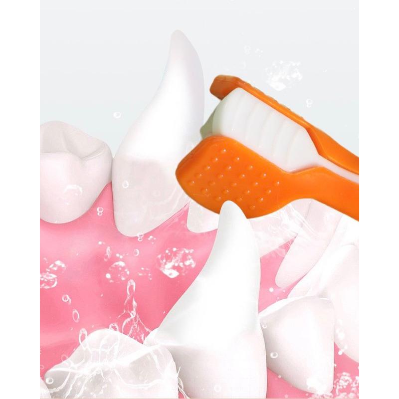 2024年夏季新款三頭牙刷寵物牙刷狗狗貓咪牙刷貓狗口腔清潔用品小型犬軟毛牙刷-細節圖8