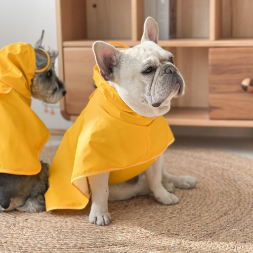 少量現喵家熱銷狗狗連帽衝鋒衣防風防雨帶帽狗狗雨衣小型犬中型犬大型犬寵物雨衣