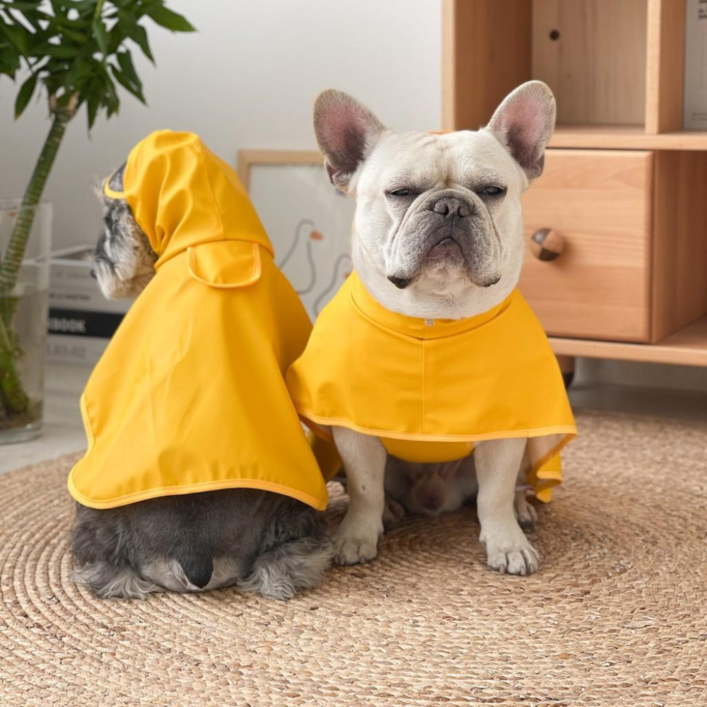 少量現喵家熱銷狗狗連帽衝鋒衣防風防雨帶帽狗狗雨衣小型犬中型犬大型犬寵物雨衣-細節圖2