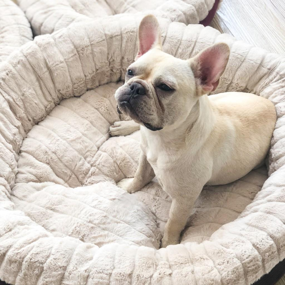 少量現貨超療癒觸感毛絨圓形寵物睡窩秋冬狗窩貓窩狗墊保暖睡墊貓懶骨頭寵物生活器材睡床睡墊-細節圖2